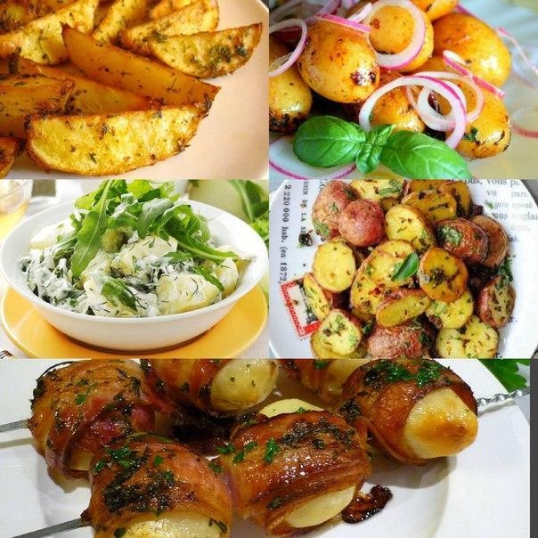 Как приготовить молодой картофель: топ-5 самых вкусных блюд