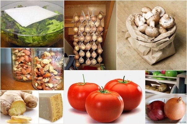 Как хранить продукты правильно? Сохраните себе!