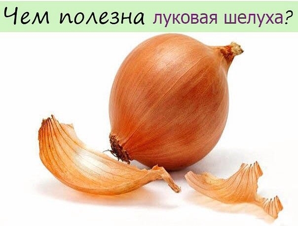 Чем полезна луковая шелуха? Советы бережливой хозяйки.