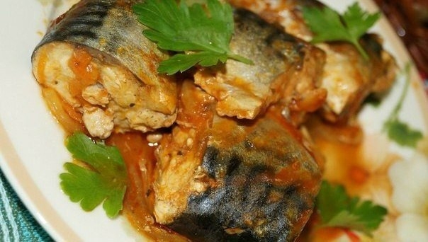 Скумбрия тушеной с морковью и луком Скумбрия тушеной с морковью и луком