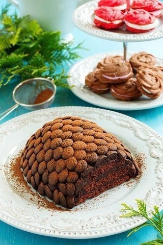 Торт "Еловая шишка".