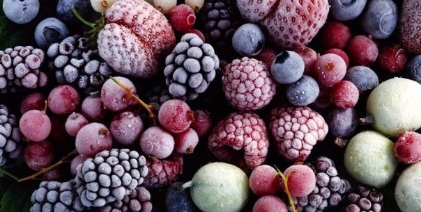Как правильно замораживать ягоды, овощи и фрукты на зиму?