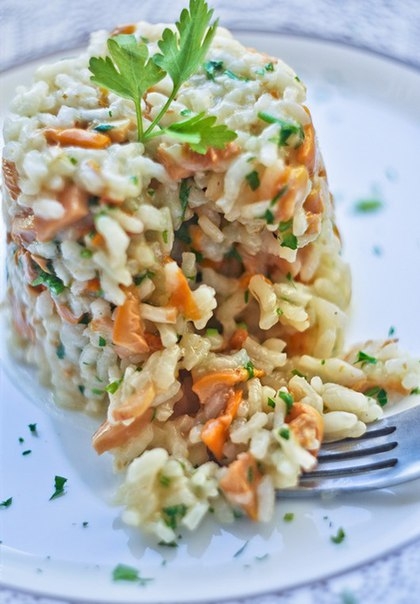 Розитто с лисичками