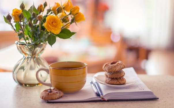 Я люблю тёплый чай с лимоном, бумажные книги и милые посиделки с приятными людьми.