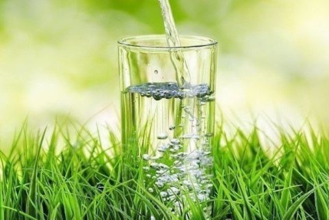 Польза от утреннего стакана горячей воды