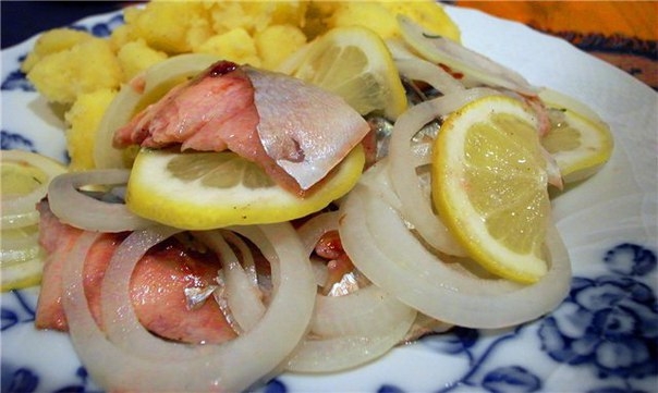 Скумбрия в белом вине (Maquereaux au vin blanc)