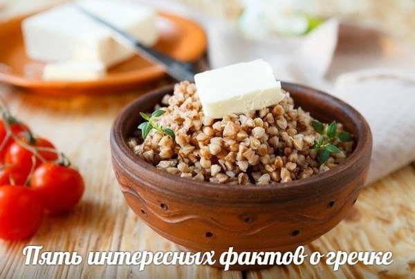 Пять интересных фактов о гречке: Пять интересных фактов о гречке: