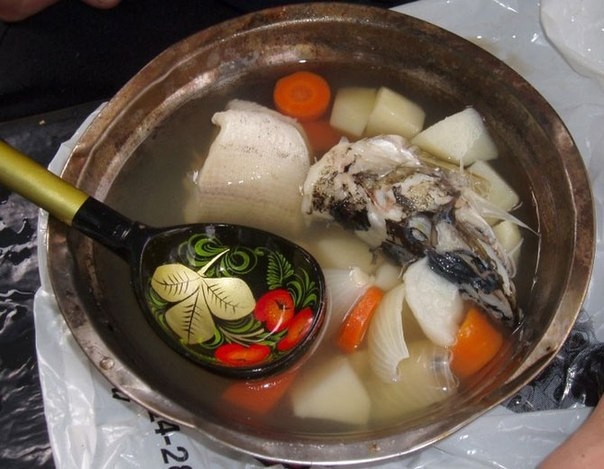 Уха́ — русское национальное жидкое блюдо, разновидность супа.