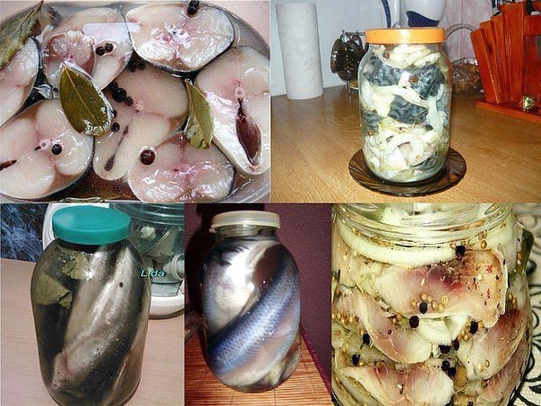 12 Рецептов домашнего посола скумбрий, сельди, кильки и мойвы!!! 12 Рецептов домашнего посола скумбрий, сельди, кильки и мойвы!!!