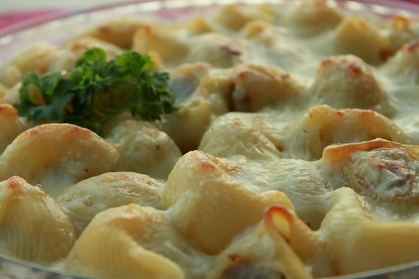 Конкильони (Conchiglioni) с куриным фаршем Конкильони (Conchiglioni) с куриным фаршем