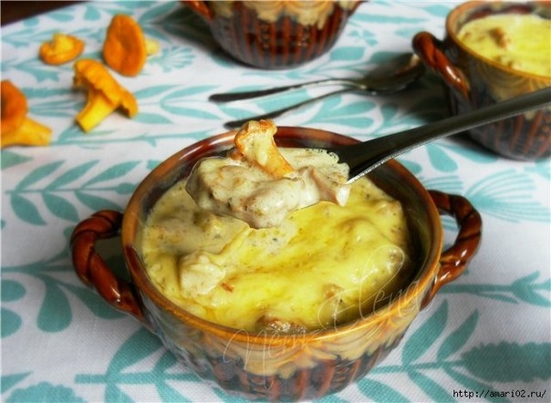 ЖУЛЬЕН из ЛИСИЧЕК с КУРИЦЕЙ