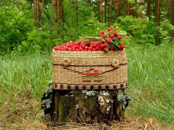 Запах ароматной земляники