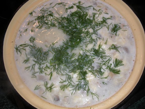чешская кулайда чешская кулайда