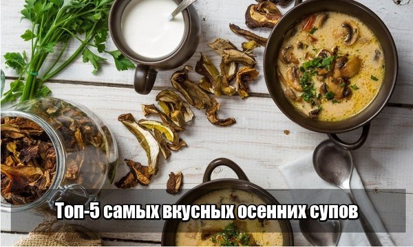 Топ- 5 рецептов осенних супов: вкусно и полезно! Топ- 5 рецептов осенних супов: вкусно и полезно!