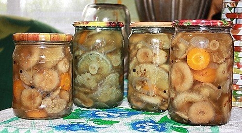 Маринованные волнушки Маринованные волнушки