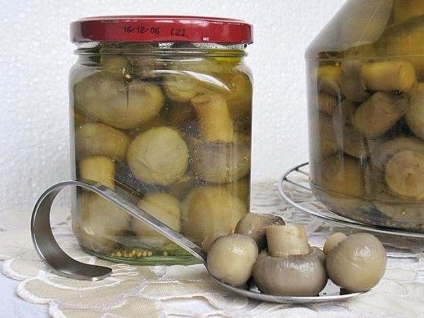 ШАМПИНЬОНЫ НА ЗИМУ