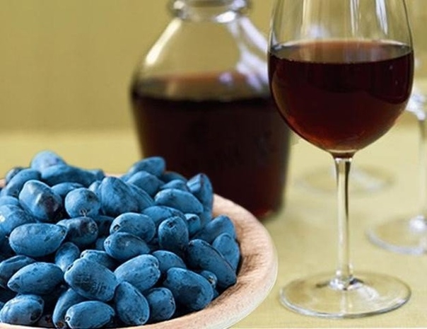 ДОМАШНЕЕ ВИНО: 10 рецептов на любой вкус ДОМАШНЕЕ ВИНО: 10 рецептов на любой вкус