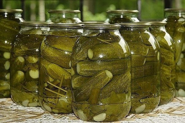 Огурцы, соленые без уксуса