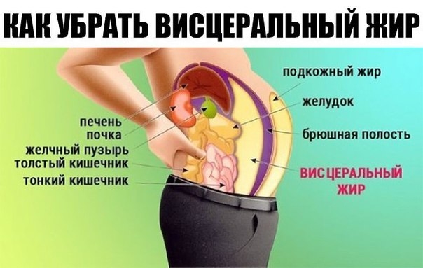 Висцеральный жир &mdash; невидимый враг! Избавилась от этой гадости&hellip;