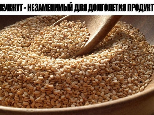 КУНЖУТ - НЕЗАМЕНИМЫЙ ДЛЯ ДОЛГОЛЕТИЯ ПРОДУКТ