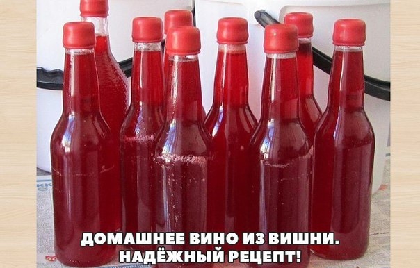 Домашнее вино из вишни. Надёжный рецепт!