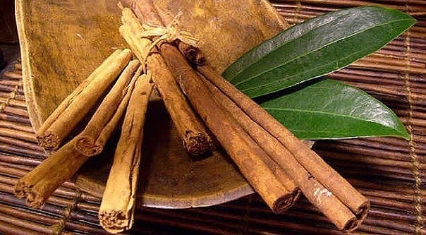 КОРИЦА &mdash; ОДНА ИЗ САМЫХ ВАЖНЫХ СПЕЦИЙ