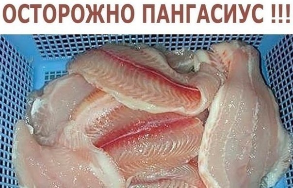 ОСТОРОЖНО ПАНГАСИУС !!! &mdash; НЕ ЕШЬТЕ ЭТУ РЫБУ!