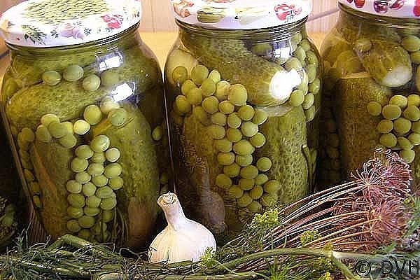 Набор для оливье из зеленого горошка и огурцов (Пошаговый рецепт)