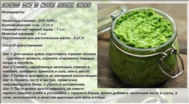 Паста из чесночных стрелок на зиму
