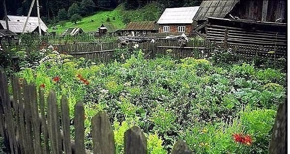 НАРОДНЫЕ ПРИМЕТЫ ДЛЯ САДОВОДОВ И ОГОРОДНИКОВ. НАРОДНЫЕ ПРИМЕТЫ ДЛЯ САДОВОДОВ И ОГОРОДНИКОВ.