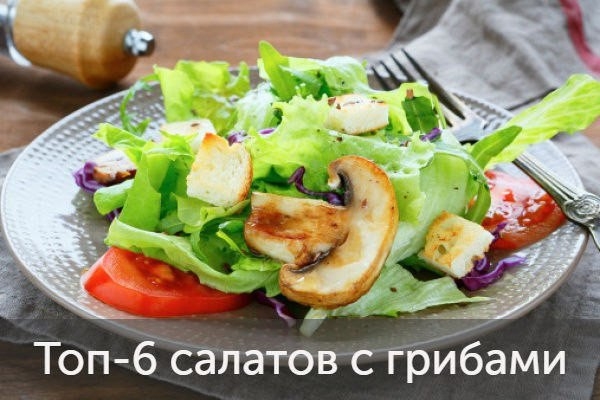 Топ-6 салатов с грибами
