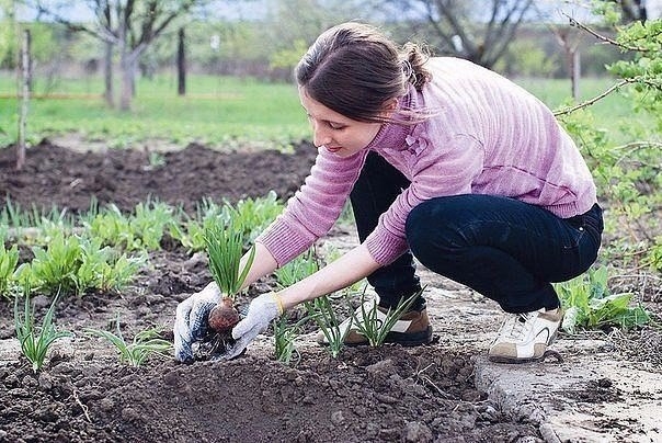 КОГДА НЕЛЬЗЯ САЖАТЬ и СЕЯТЬ - Народные приметы для садоводов-огородников!