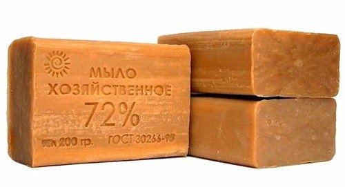 Мыло спасет сад от вредителей