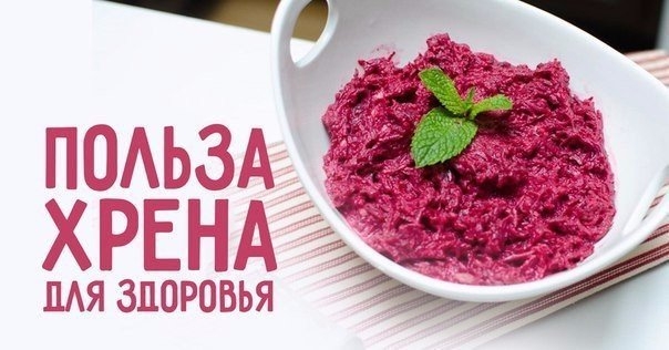 Хрен содержит больше витамина С, чем лимон. Полезен, с какой стороны не посмотришь!