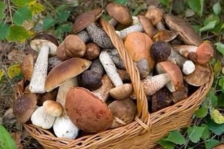 Грибная икра &ndash; это очень необычная и вкусная заготовка, один из лучших вариантов того, как можно зап