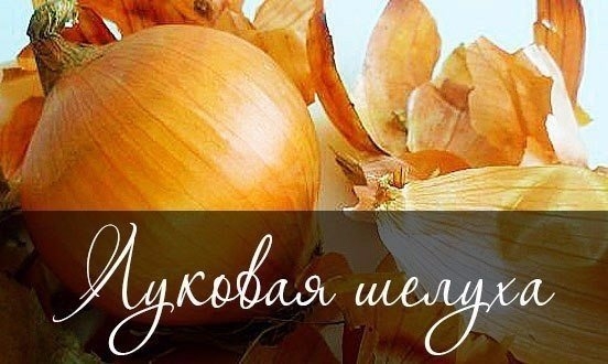 Луковая шелуха &ndash; это уникальное природное средство для борьбы с вредителями и отличное удобрение для