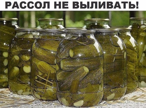 РАССОЛ НЕ ВЫЛИВАЕМ, А ПУСКАЕМ В ДЕЛО! РАССОЛ НЕ ВЫЛИВАЕМ, А ПУСКАЕМ В ДЕЛО!