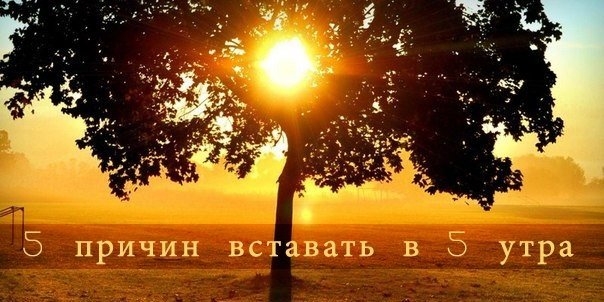5 причин вставать в 5 утра