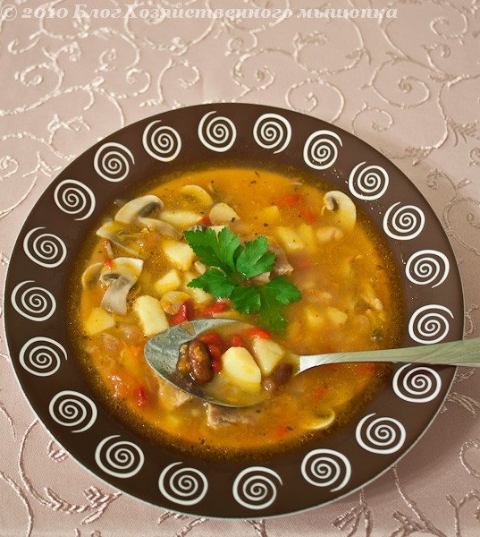 Фасолевый суп с мясом и грибами