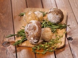 Полезные советы: как заморозить и засушить грибы