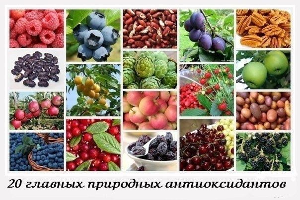 20 главных природных антиоксидантов