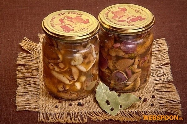 Консервированные маслята