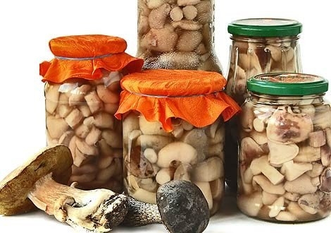 Правила маринования грибов