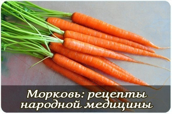 Морковь: польза, рецепты народной медицины.