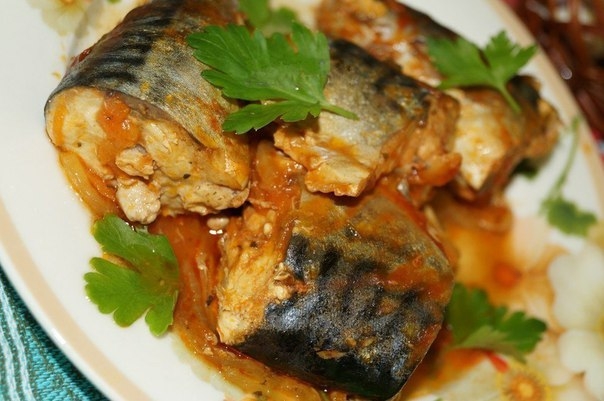 СКУМБРИЯ, ТУШЕННАЯ С ЛУКОМ СКУМБРИЯ, ТУШЕННАЯ С ЛУКОМ
