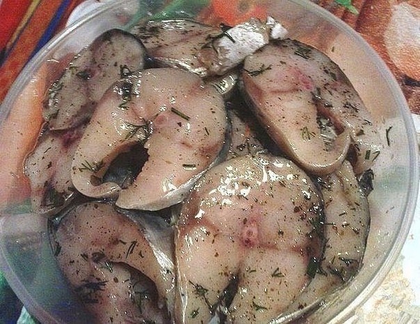 Самый вкусный рецепт засолки рыбы