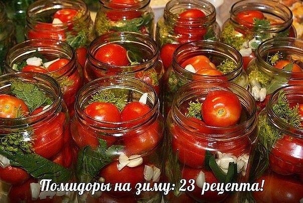 1.Помидоры острые