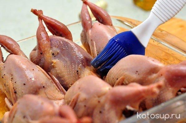 Как приготовить перепелов в духовке