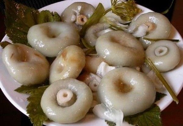 Засолка грибов горячим способом