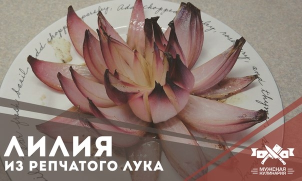 Лилия из луковицы Лилия из луковицы